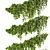 Ivy Fitowall Outdoor Plant Collection 3D model small image 2