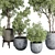 Vintage Concrete Vase Outdoor Trees 3D model small image 6