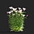 Lilium 5-Color Flower Collection 3D model small image 5