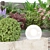 Organic Backyard Landscaping Plants Set 3D model small image 5