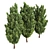 Italian Cypress 3D Tree Models 3D model small image 3