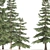 Optimized 3D Alaskan Cedar Forest 3D model small image 2