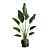 Exotic Indoor Plant Pack 39 3D model small image 4