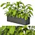 Tropical Outdoor Plant Set 2013 3D model small image 1