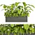 Tropical Outdoor Plant Set 2013 3D model small image 2