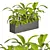 Tropical Outdoor Plant Set 2013 3D model small image 3