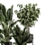 Modern Indoor Plants Set 1348 3D model small image 3