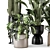 Modern Indoor Plants Set 1348 3D model small image 5