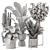 Modern Indoor Plants Set 1348 3D model small image 7