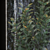 Cascading Water Feature Fountain 3D model small image 3