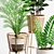 Lush Indoor Plants Set 07 3D model small image 4