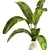 Exotic Tropical Plant Bouquet 3D model small image 3