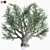 Premium Olive Tree Model 2016 3D model small image 1