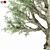 Premium Olive Tree Model 2016 3D model small image 2