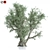 Premium Olive Tree Model 2016 3D model small image 4