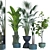 Resizable Indoor/Outdoor Plant Collection 3D model small image 1