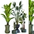 Resizable Indoor/Outdoor Plant Collection 3D model small image 2