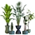 Resizable Indoor/Outdoor Plant Collection 3D model small image 3