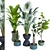 Resizable Indoor/Outdoor Plant Collection 3D model small image 4