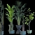 Resizable Indoor/Outdoor Plant Collection 3D model small image 5