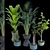 Resizable Indoor/Outdoor Plant Collection 3D model small image 6