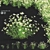 Chamomile Flower Set | 3D Models 3D model small image 1