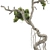 Bonsai Tree 63 3D Model 3D model small image 5