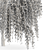 Elegant Weeping Willow 3D Model 3D model small image 4