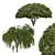 Palo Verde Willow 3D Models 3D model small image 1