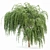 Palo Verde Willow 3D Models 3D model small image 2