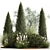 Evergreen Ornamental Plant Collection 3D model small image 1