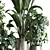 Multifarious Indoor Plant Set 3D model small image 4