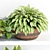 PBR Indoor Plant Shelf Collection 3D model small image 2