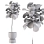 2015 Ficus Indoor Plant 3D 3D model small image 3