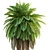 Tropical Tree Set 3D Models 3D model small image 3