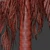 Tropical Tree Set 3D Models 3D model small image 4