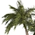 Tropical Palm Tree 3D Model 3D model small image 4