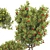 Fruit Tree Plant Collection Set 3D model small image 10