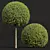 Golden Globe Dwarf Bonsai Collection 3D model small image 3