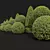 Golden Globe Dwarf Bonsai Collection 3D model small image 4