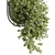 Modern Hanging Indoor Plant 352 3D model small image 4
