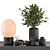 Botanica Vase Plant Decor Set 3D model small image 1