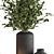 Botanica Vase Plant Decor Set 3D model small image 3