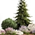 Alpine Rockery Plant Collection 3D model small image 2