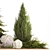 Alpine Rockery Plant Collection 3D model small image 5