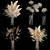 Luxury White Dry Flower Bouquets 3D model small image 1