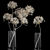 Luxury White Dry Flower Bouquets 3D model small image 3