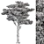 Pink Cedar Tree Set 150 3D model small image 3