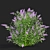 Buddleja davidii Bushes Collection 3D model small image 2