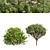 Zistrose & Coronilla 3D Flower Models 3D model small image 1